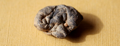 Kivikautinen purkka. Kuva: Patrik Franzén / kierikki.fi