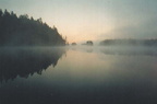 Aamu-usva