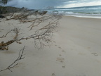 North Stradbroke Island
