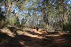 Mt Barney hike 2023
